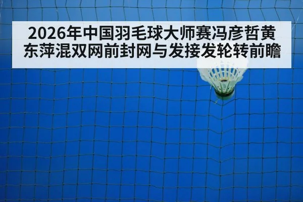 badminton net shot